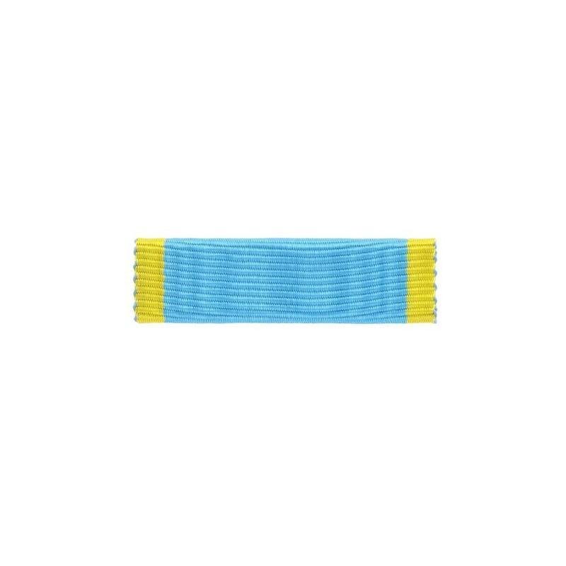 Barrette dixmude Jeunesse et Sport Argent