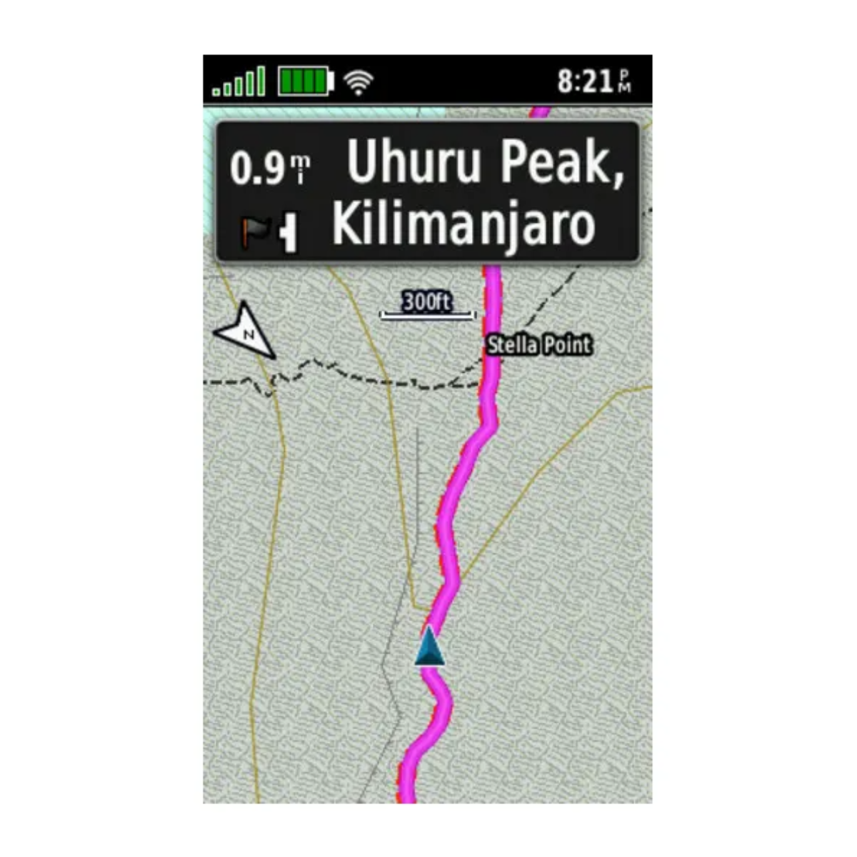 Carte topographique Garmin TopoActive Afrique pour GPS