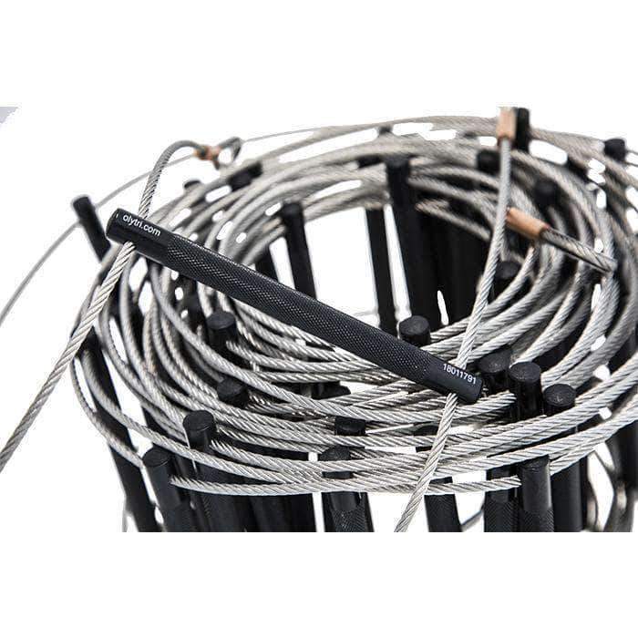 Echelle Olympia Triumph Compacte