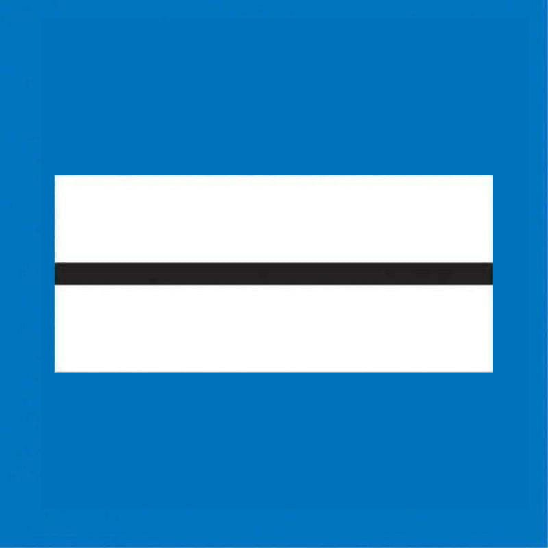 Galon de poitrine Police Municipale