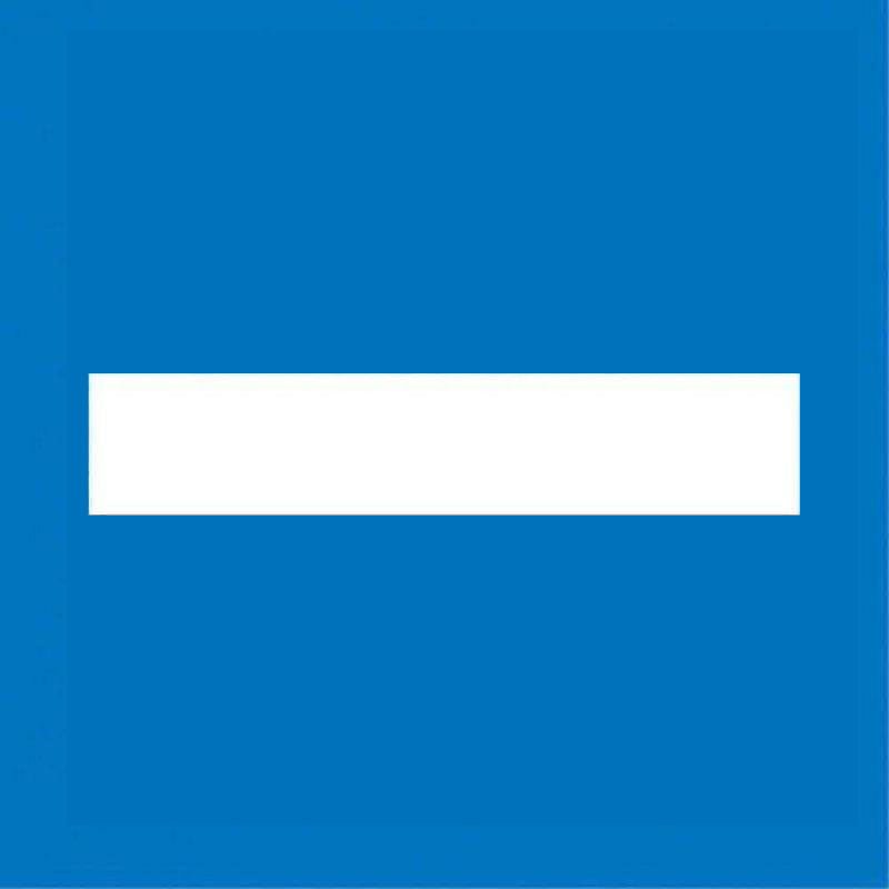 Galon de poitrine Police Municipale