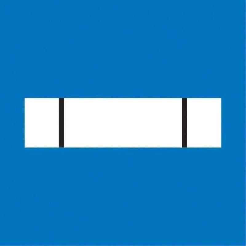 Galon de poitrine Police Municipale