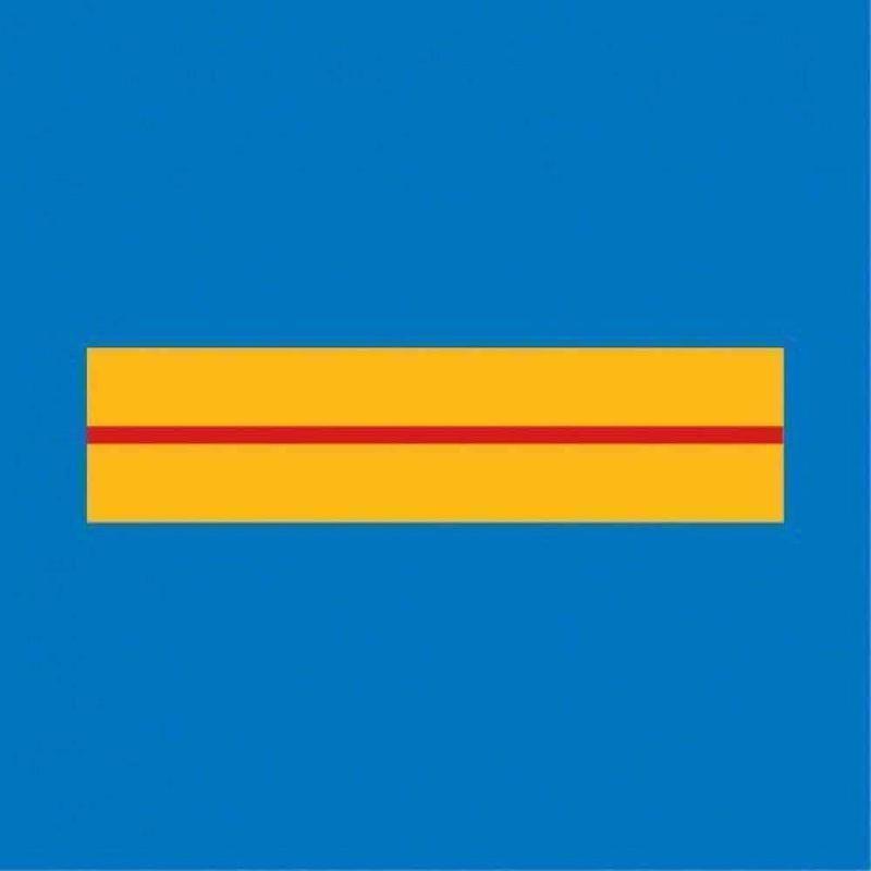 Galon de poitrine Police Municipale