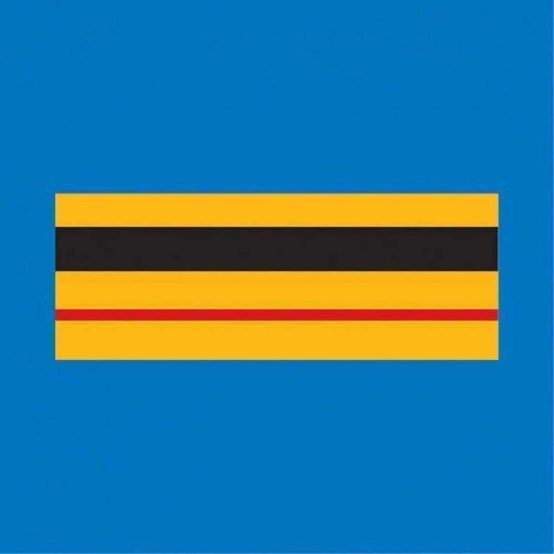 Galon de poitrine Police Municipale