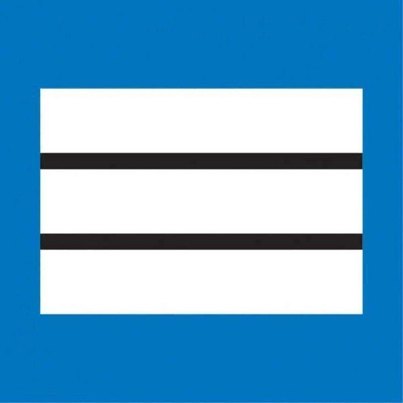 Galon de poitrine Police Municipale