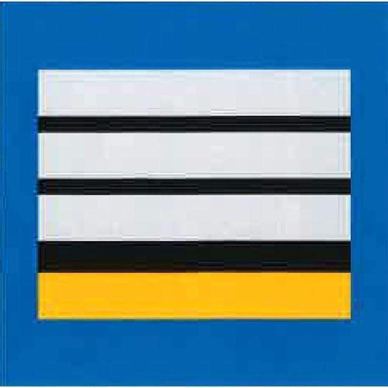 Galon de poitrine Police Municipale