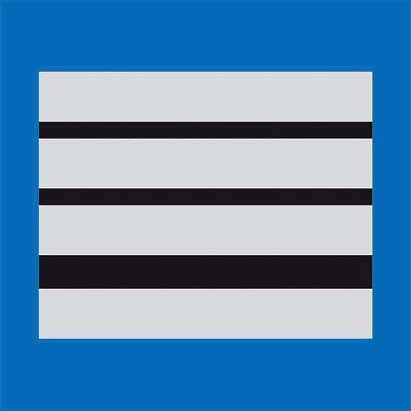 Galon de poitrine Police Municipale