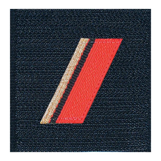 Grade de poitrine Ares Troupe de Marine