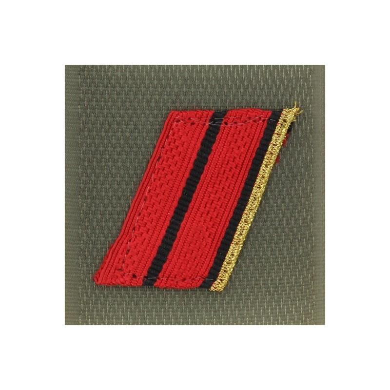 Grade de poitrine Armée de Terre