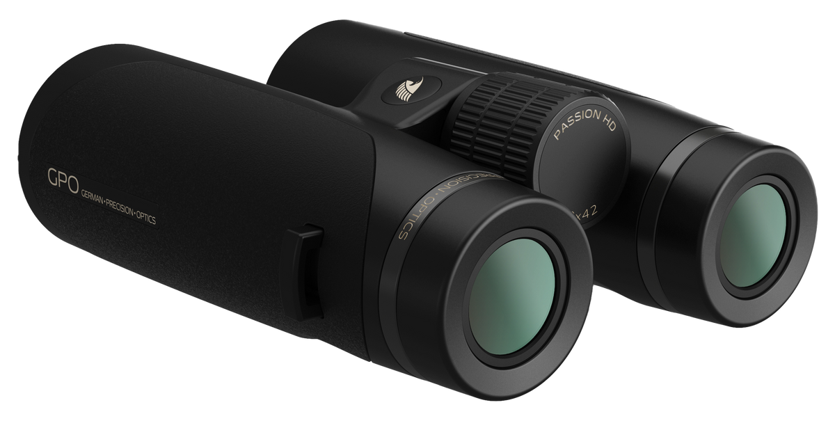 Jumelles GPO Passion HD 10x42 grossissement 10 x 42 mm champ 112 m à 1 000 m