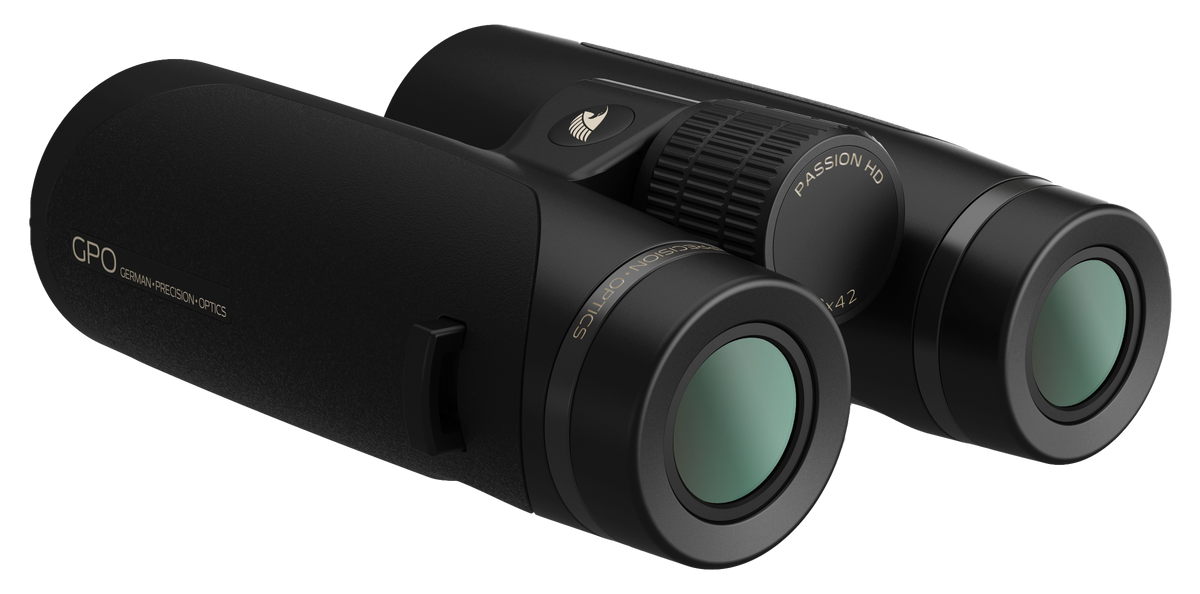 Jumelles GPO Passion HD 8x42 grossissement 8 x 42 mm champ 125 m à 1 000 m