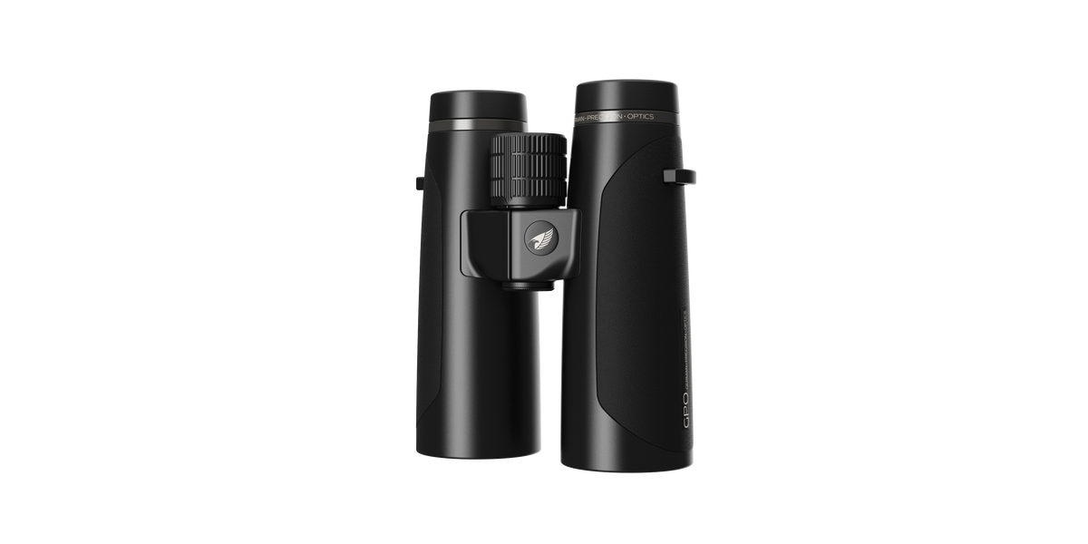 Jumelles GPO Passion HD 8x42 grossissement 8 x 42 mm champ 125 m à 1 000 m