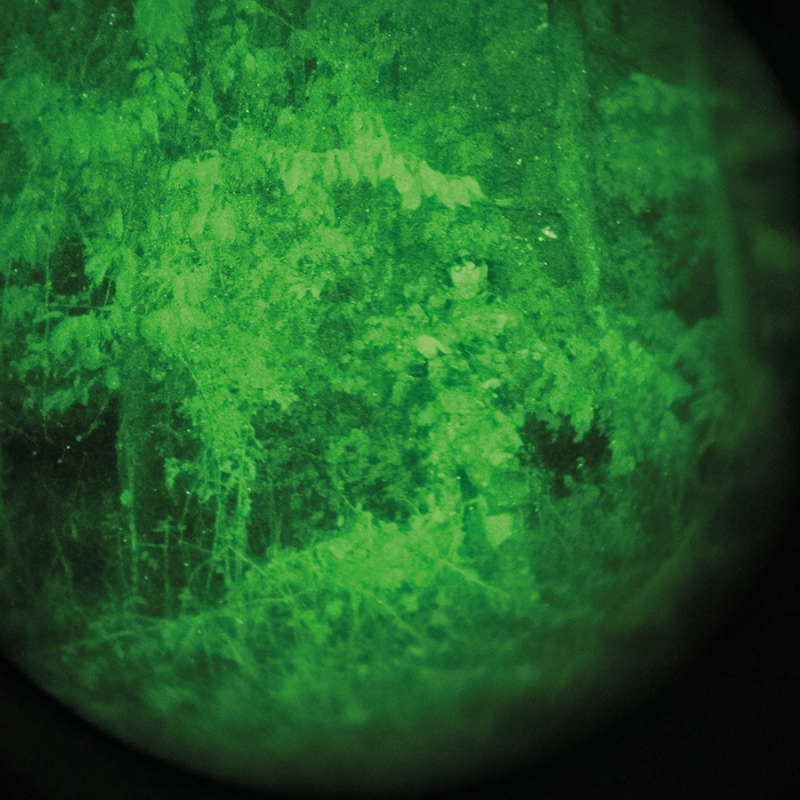 Pantalon Leo Köhler Phantomleaf