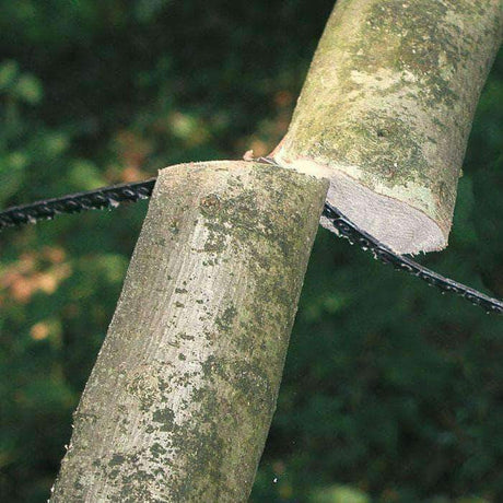 Scie de survie BCB Unbelieveable