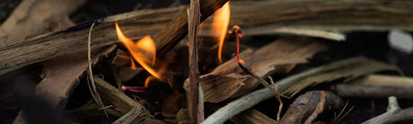 Comment allumer un feu en situation de survie en 2024 : 4 méthodes innovantes