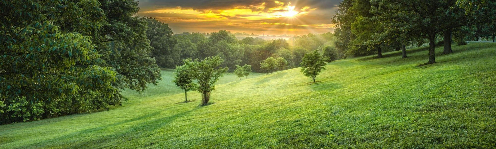 Conseils et astuces pour la vie dans la nature