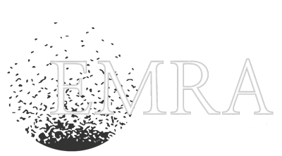 EMRA Armement