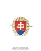 Insigne de coiffure de l'armée tchèque, pièce de dotation en surplus d'occasion