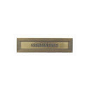 Agrafe Sentinelle Bronze