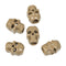 Arrêt de cordon Mil-Tec Skull