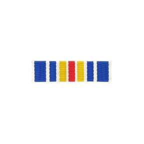 Barrette dixmude Blessé