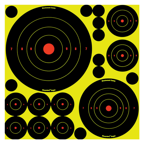 Birchwood Casey Lot de 5 cibles avec 10 bull's eye 200 g