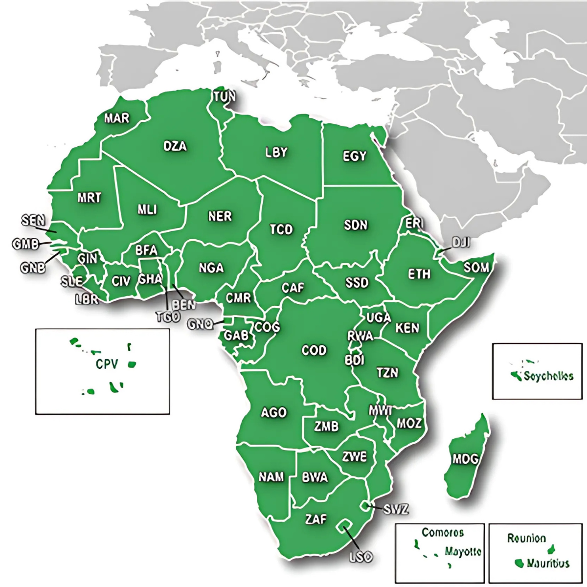Carte topographique Garmin TopoActive Afrique pour GPS