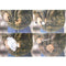 Cible ESP Overlay 2