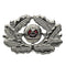 Couronne de casquette d'officier des forces terrestres est-allemandes