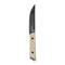 Couteau à lame fixe Ares Akuso Tanto manche G10 longueur totale 25,3 cm étui Kydex