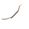 Dragonne extensible Mil-Tec en polyuréthane à spirale longueur 33,5 cm extensible jusqu'à 87 cm