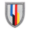 Écusson de manche BFA Ares Brigade franco-allemande en haute visibilité