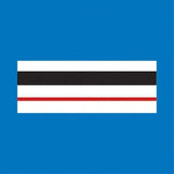 Galon de poitrine Police Municipale