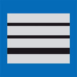 Galon de poitrine Police Municipale