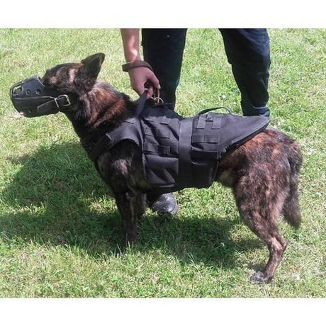 Harnais pour chien Morin Gilet Pare-balles avec système Molle