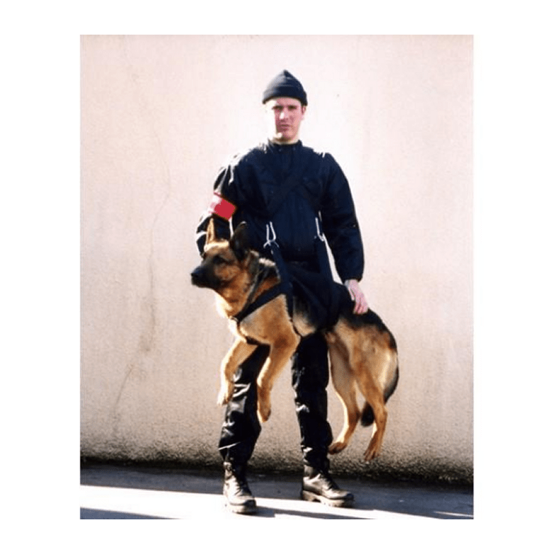 Harnais pour chien Morin Portage Intervention