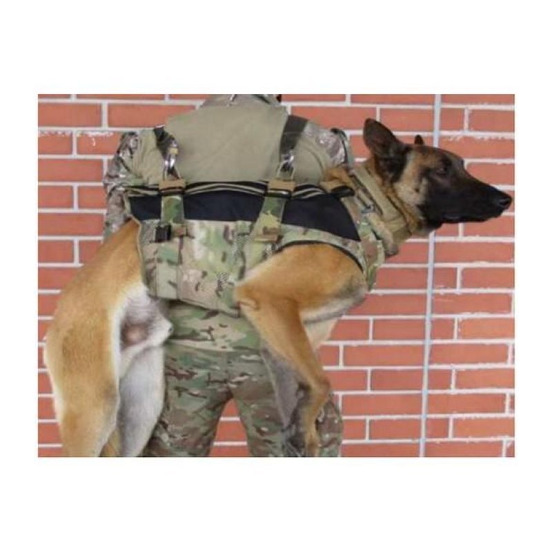 Harnais pour chien Morin protection balistique. Portage. Pare Couteaux. Flottaison