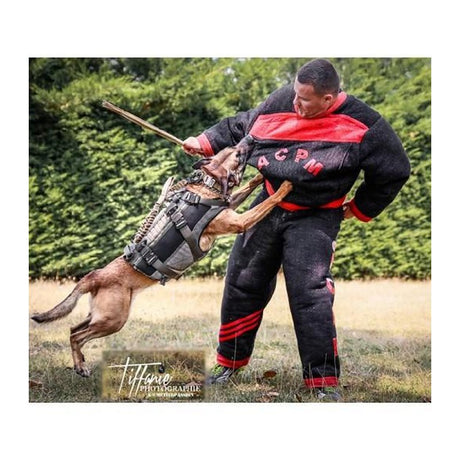 Harnais pour chien Morin protection balistique. Portage. Pare Couteaux. Flottaison