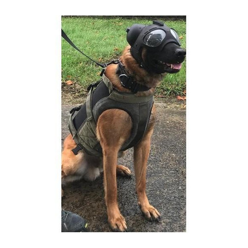 Harnais pour chien Morin protection balistique. Portage. Pare Couteaux. Flottaison