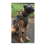 Harnais pour chien Morin protection balistique. Portage. Pare Couteaux. Flottaison