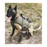 Harnais pour chien Morin protection balistique. Portage. Pare Couteaux. Flottaison