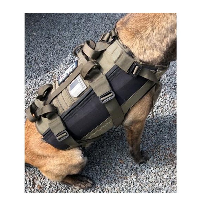Harnais pour chien Morin protection balistique. Portage. Pare Couteaux. Flottaison