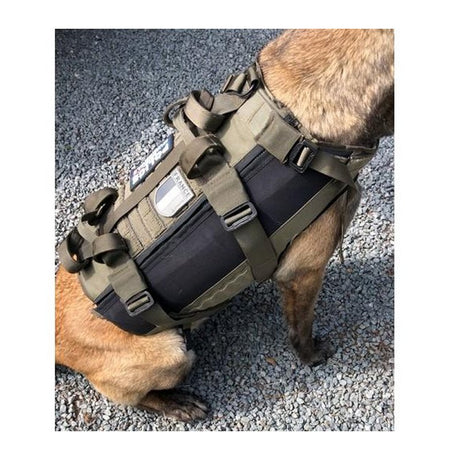 Harnais pour chien Morin protection balistique. Portage. Pare Couteaux. Flottaison