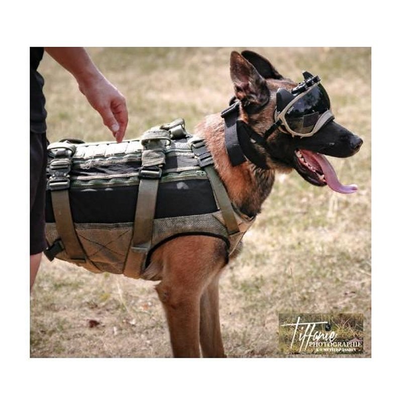 Harnais pour chien Morin protection balistique. Portage. Pare Couteaux. Flottaison