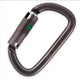 Mousqueton d'escalade Petzl AM'D Ball Lock