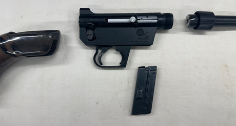 Rare Carabine Armalite 22Lr AR-7 ALCX