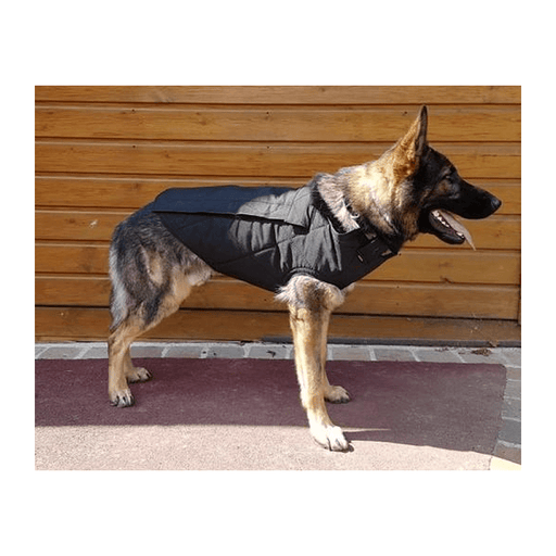 Harnais pour chien SPECIAL SWAT Morin - Noir - T1 - Welkit.com - 3662950163050 - 1