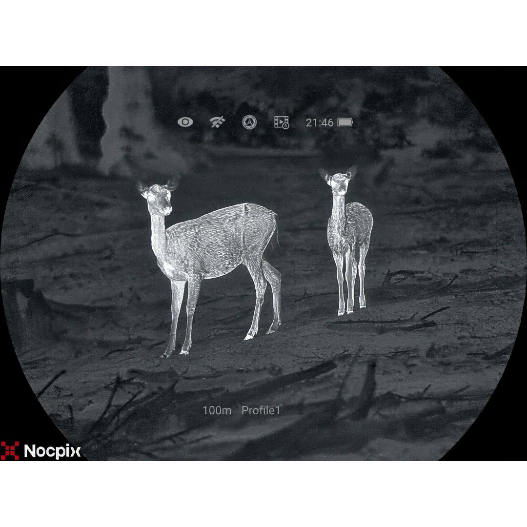 Lunette thermique Nocpix MATE Ultra capteur 1280 × 1024 px objectif 60 mm télémètre 1 200 m