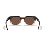 Lunettes de protection ULTRA Wiley X - Ultra Brown Gradient - Welkit.com