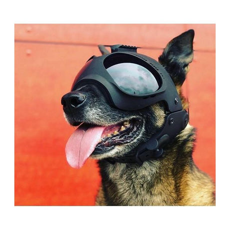 Masque pour chien CASQUE K9 Morin - Noir - Welkit.com